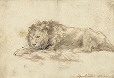 Lion couché, Rembrandt van Rijn (école de), ch. 1650 plume et encre brune, avec lavis brun et blanc opaque ; ligne d'encadrement à l'encre brun